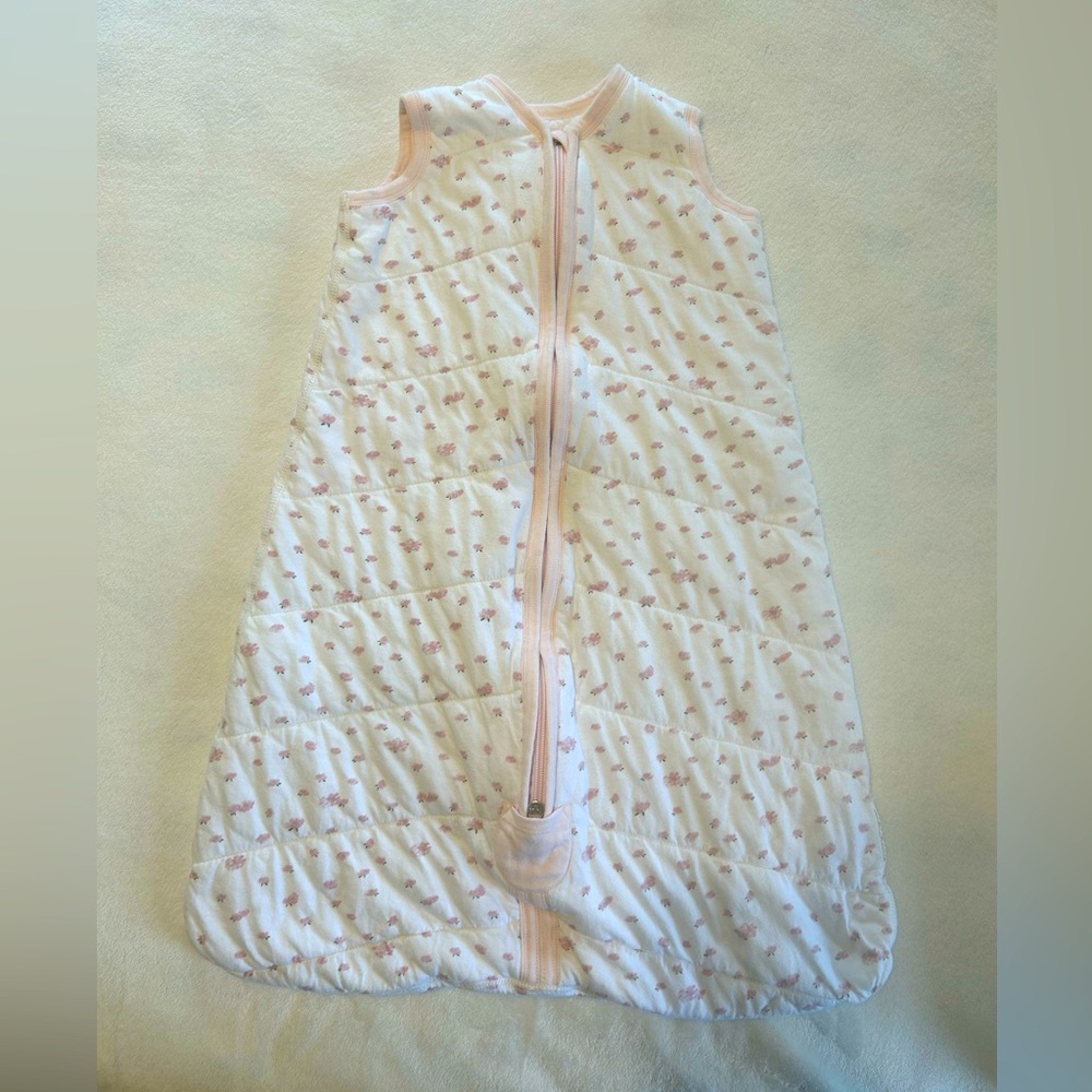 Burt’s Bees Baby beekeeper wearable blanket, butterfly garden color, size M